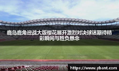米乐YY易游