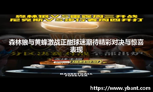 森林狼与黄蜂激战正酣球迷期待精彩对决与惊喜表现