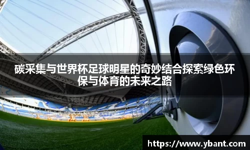 碳采集与世界杯足球明星的奇妙结合探索绿色环保与体育的未来之路